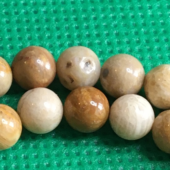 Fossil Jasper 6mm - Picture 4 of 7